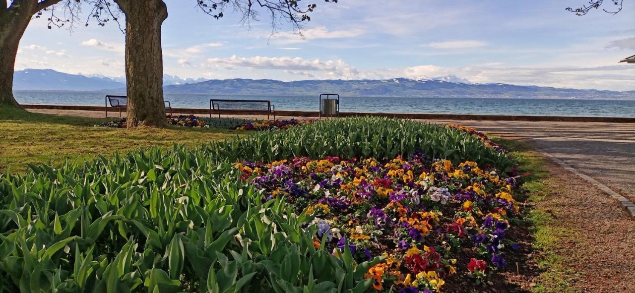 Bodensee Apartments Kressbronn "Haus Am Seepark" Крессбронн-ам-Бодензе Екстер'єр фото